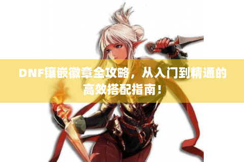 DNF镶嵌徽章全攻略，从入门到精通的高效搭配指南！