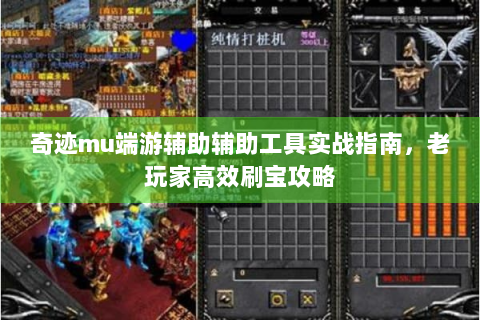 奇迹mu端游辅助辅助工具实战指南，老玩家高效刷宝攻略