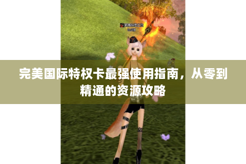 完美国际特权卡最强使用指南，从零到精通的资源攻略