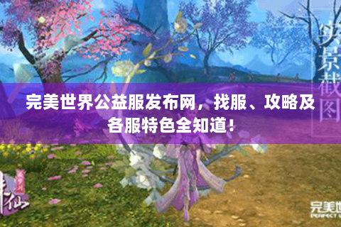 完美世界公益服发布网，找服、攻略及各服特色全知道！