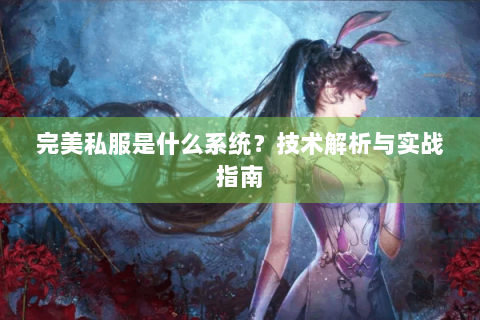 完美私服是什么系统？技术解析与实战指南