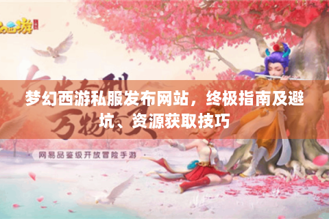 梦幻西游私服发布网站，终极指南及避坑、资源获取技巧