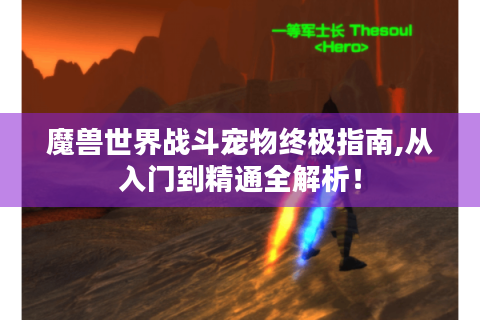 魔兽世界战斗宠物终极指南,从入门到精通全解析！