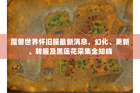 魔兽世界怀旧服最新消息，幻化、更新、转服及黑莲花采集全知晓