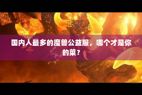 国内人最多的魔兽公益服，哪个才是你的菜？