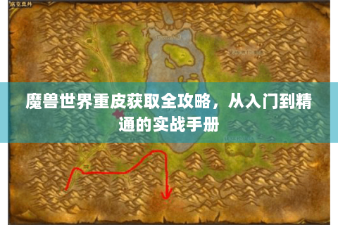 魔兽世界重皮获取全攻略，从入门到精通的实战手册