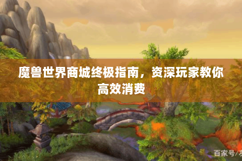 魔兽世界商城终极指南，资深玩家教你高效消费