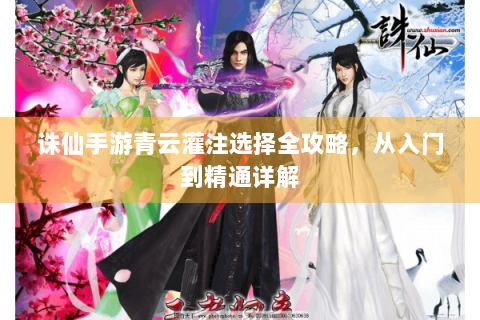 诛仙手游青云灌注选择全攻略，从入门到精通详解