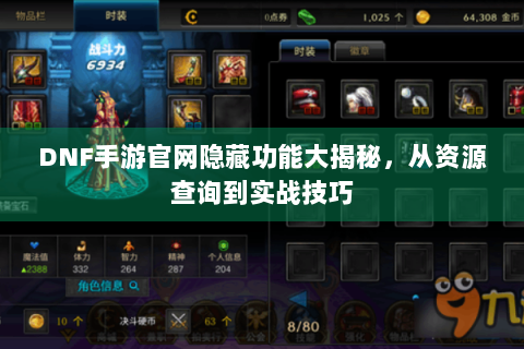 DNF手游官网隐藏功能大揭秘，从资源查询到实战技巧