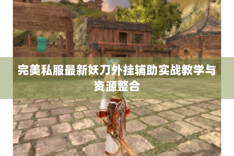 完美私服最新妖刀外挂辅助实战教学与资源整合