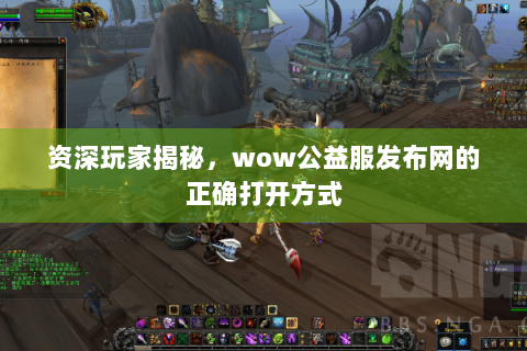 资深玩家揭秘，wow公益服发布网的正确打开方式
