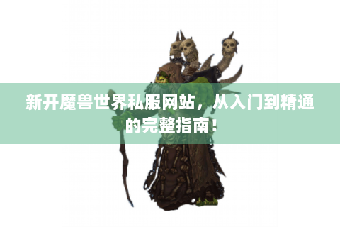 新开魔兽世界私服网站，从入门到精通的完整指南！