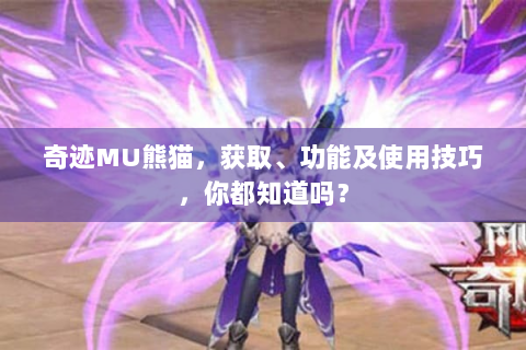 奇迹MU熊猫，获取、功能及使用技巧，你都知道吗？