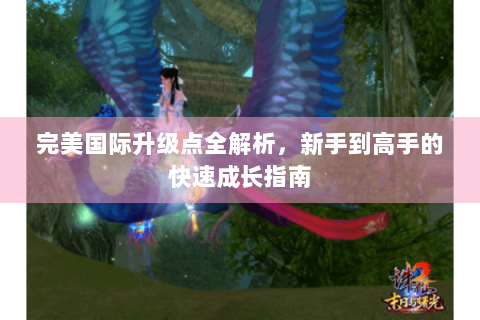 完美国际升级点全解析，新手到高手的快速成长指南