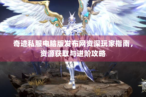 奇迹私服电脑版发布网资深玩家指南，资源获取与进阶攻略