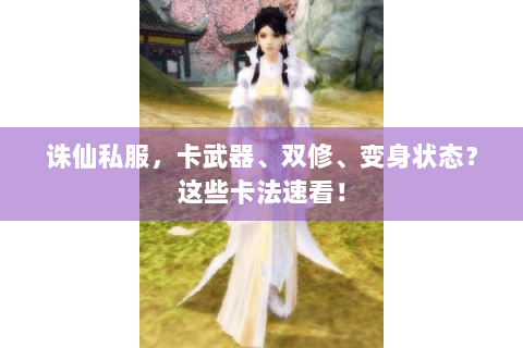 诛仙私服，卡武器、双修、变身状态？这些卡法速看！
