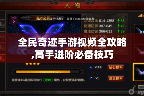 全民奇迹手游视频全攻略,高手进阶必备技巧