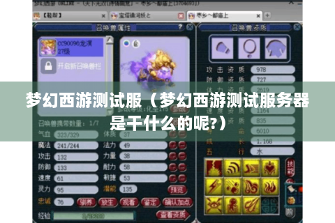 梦幻西游测试服（梦幻西游测试服务器是干什么的呢?）