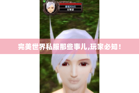 完美世界私服那些事儿,玩家必知！