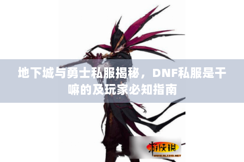 地下城与勇士私服揭秘，DNF私服是干嘛的及玩家必知指南