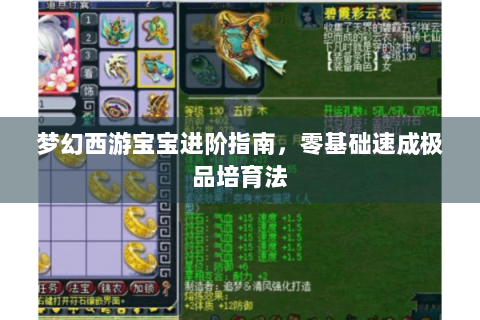 梦幻西游宝宝进阶指南，零基础速成极品培育法