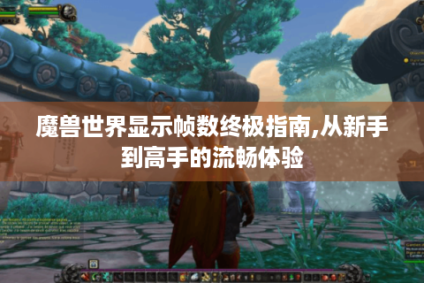 魔兽世界显示帧数终极指南,从新手到高手的流畅体验