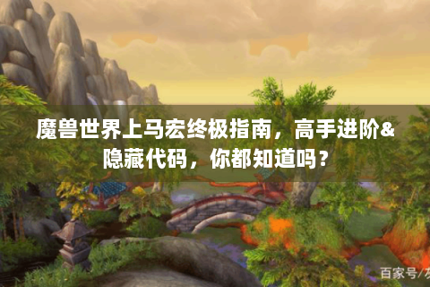 魔兽世界上马宏终极指南，高手进阶&隐藏代码，你都知道吗？