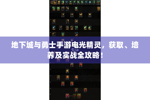 地下城与勇士手游电光精灵，获取、培养及实战全攻略！