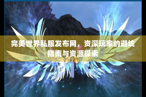 完美世界私服发布网，资深玩家的避坑指南与资源探索
