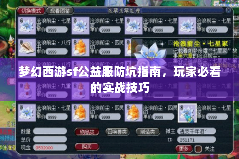 梦幻西游sf公益服防坑指南，玩家必看的实战技巧