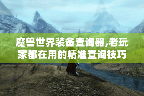 魔兽世界装备查询器,老玩家都在用的精准查询技巧