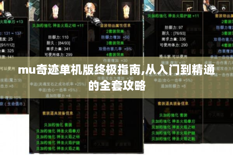 mu奇迹单机版终极指南,从入门到精通的全套攻略
