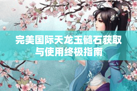 完美国际天龙玉髓石获取与使用终极指南