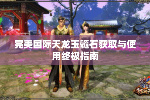 完美国际天龙玉髓石获取与使用终极指南