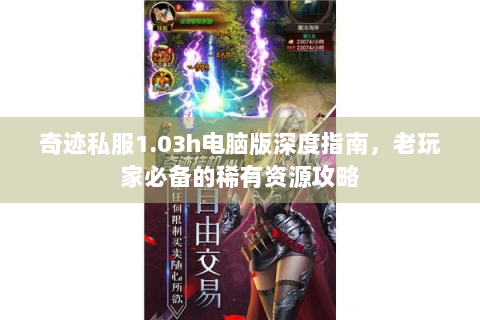 奇迹私服1.03h电脑版深度指南，老玩家必备的稀有资源攻略