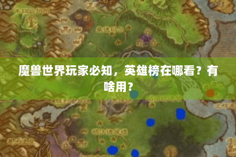 魔兽世界玩家必知，英雄榜在哪看？有啥用？