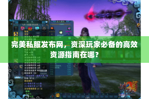 完美私服发布网，资深玩家必备的高效资源指南在哪？