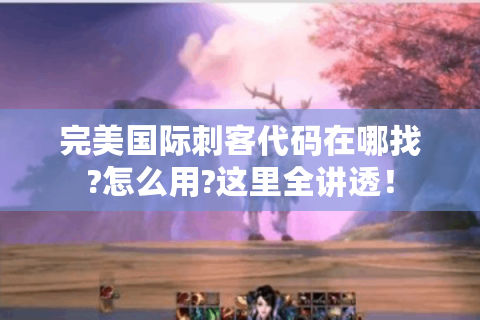 完美国际刺客代码在哪找?怎么用?这里全讲透！