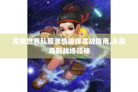 完美世界私服激情指挥实战指南,从菜鸟到战场领袖