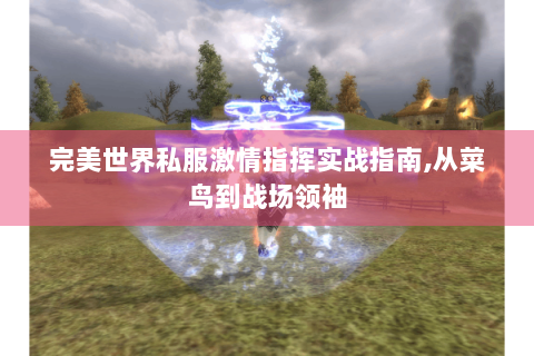 完美世界私服激情指挥实战指南,从菜鸟到战场领袖