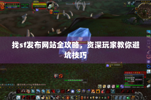 找sf发布网站全攻略，资深玩家教你避坑技巧