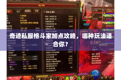 奇迹私服格斗家加点攻略，哪种玩法适合你？