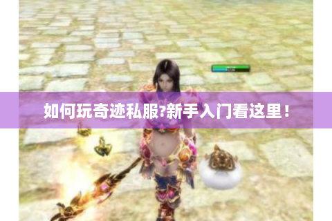 如何玩奇迹私服?新手入门看这里！