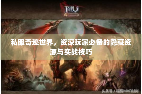 私服奇迹世界，资深玩家必备的隐藏资源与实战技巧
