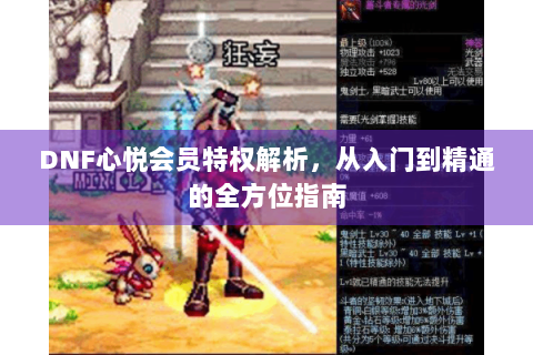 DNF心悦会员特权解析，从入门到精通的全方位指南