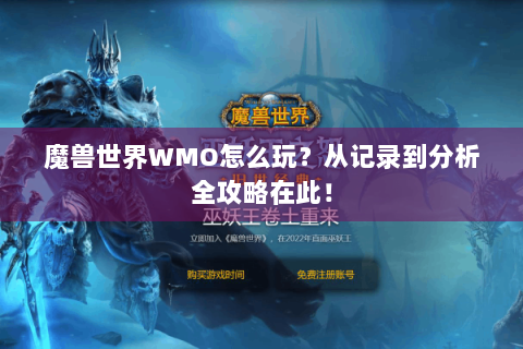 魔兽世界WMO怎么玩？从记录到分析全攻略在此！