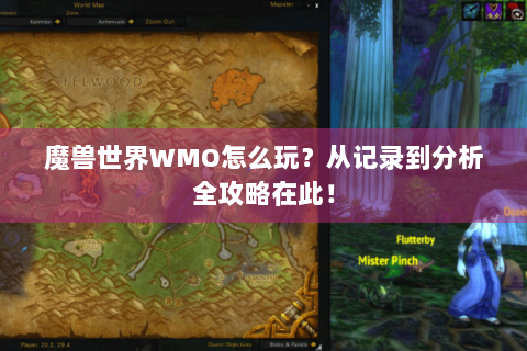 魔兽世界WMO怎么玩？从记录到分析全攻略在此！