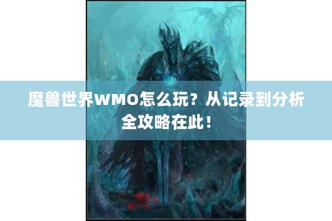 魔兽世界WMO怎么玩？从记录到分析全攻略在此！