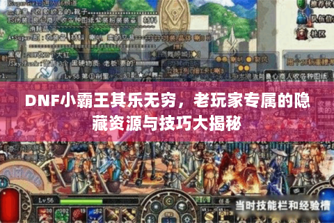 DNF小霸王其乐无穷，老玩家专属的隐藏资源与技巧大揭秘