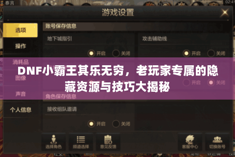 DNF小霸王其乐无穷，老玩家专属的隐藏资源与技巧大揭秘